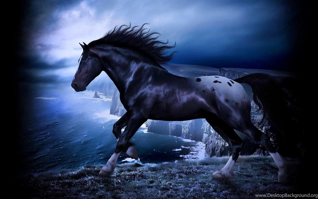 Friesian Horse Wallpapers   Wallpapers Cave