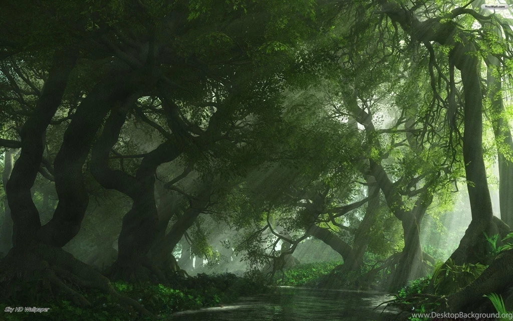 Jungle Gap HD Wallpapers