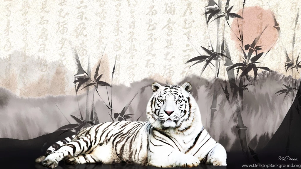 Oriental White Tiger >> HD Wallpaper, Get It Now!