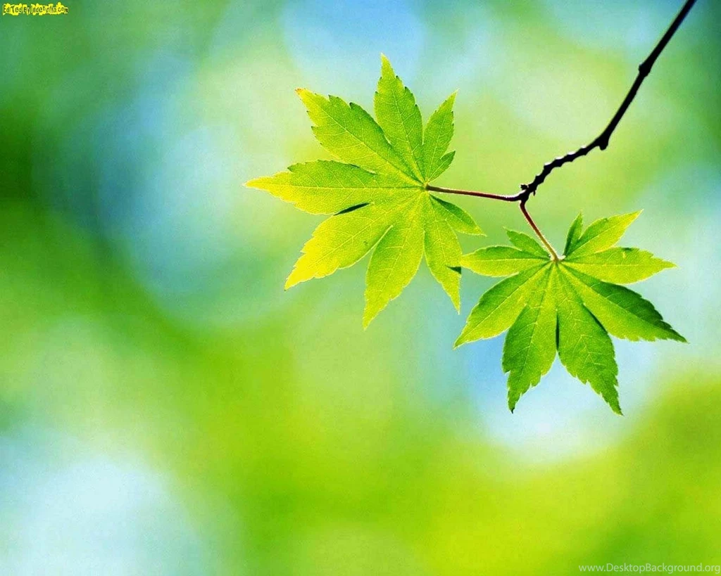 Autumn Archives Page 4 Of 4 HD Wallpapers Source