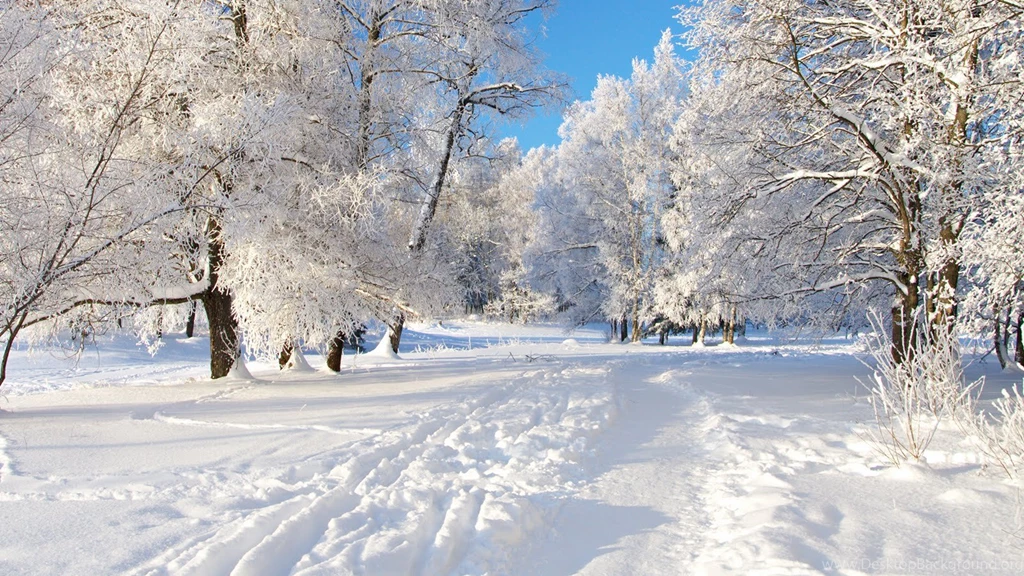 Wallpapers Colorfull Top Class Snow In Park 1600x900