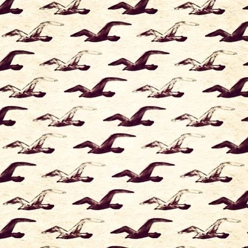 Hollister Wallpapers