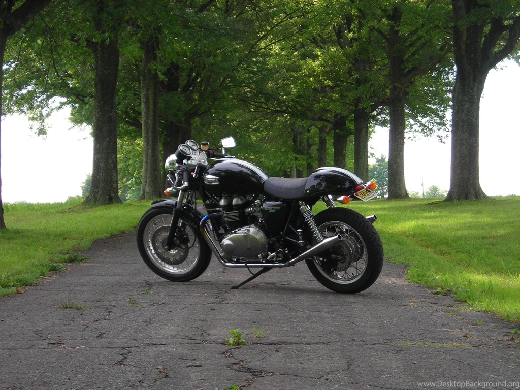 2007 Triumph Thruxton Cafe Racer   NJ   Sportbikes.net