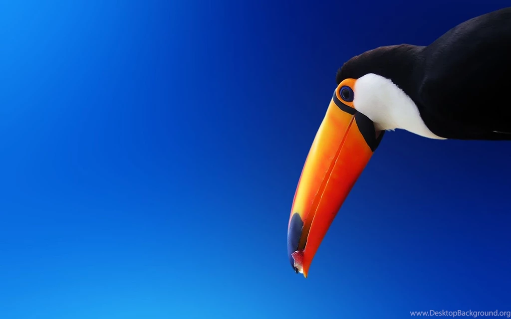 Mostre O Seu Desktop! : Temas Do Ubuntu   Página 82