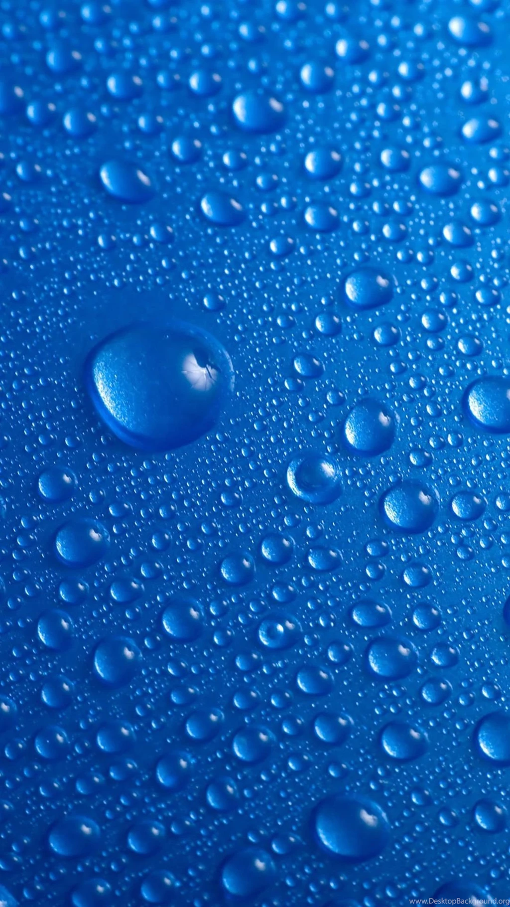 Most Popular iPhone 6 Wallpapers