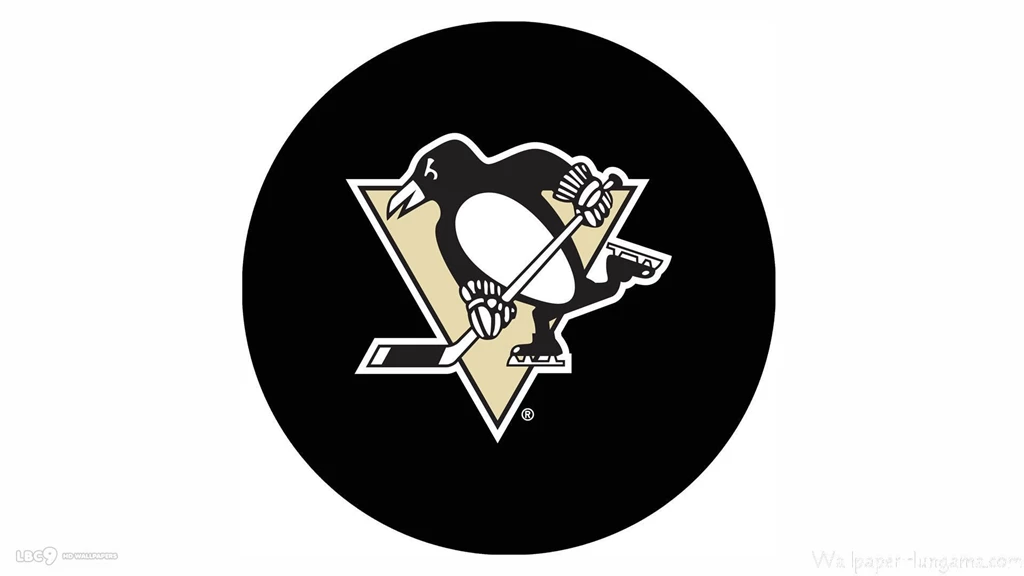 Wallpapers Hockey Pittsburgh Penguins Teams Hd 1920x1080