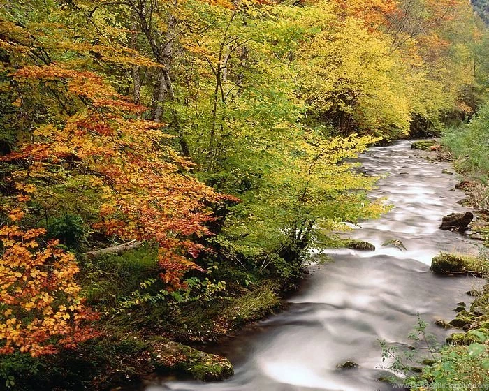 Digital Nature Photography Wallpaper9   Wallcoo.net