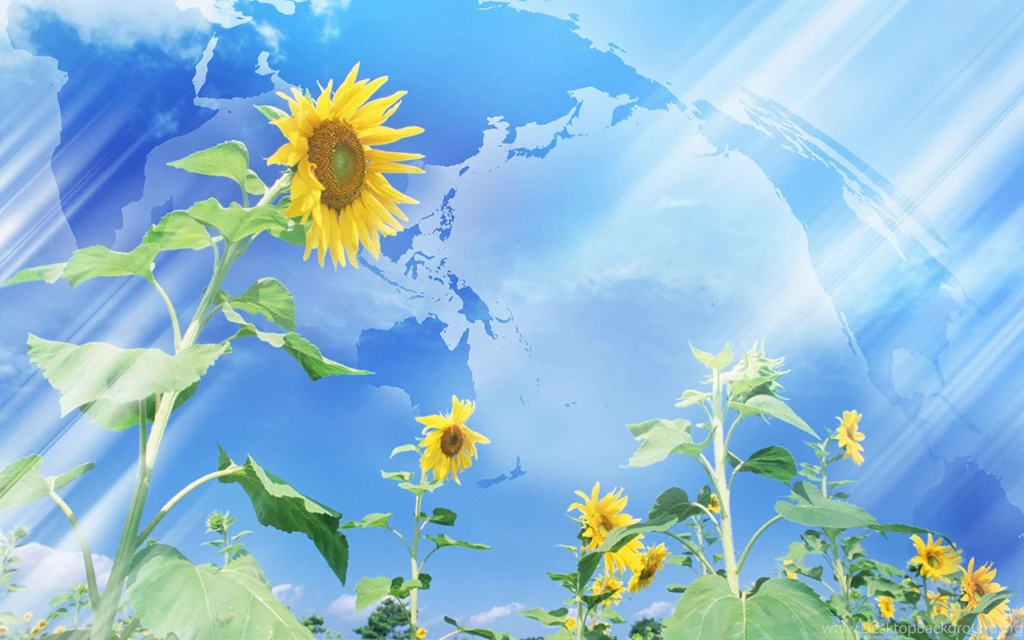 Wallpapers, Nature, Art, Digital, Amazing, Popular, Photocombo ...