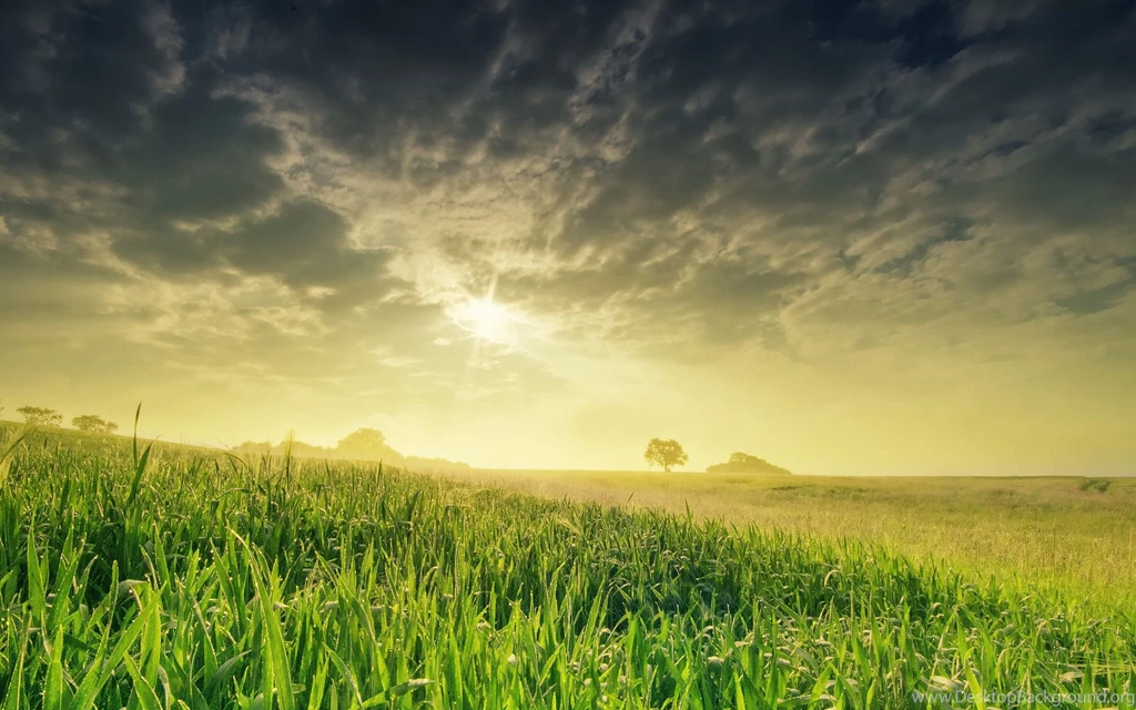 Sunset, Clouds, Landscapes, Nature, Grass, Fields, Sunlight ...