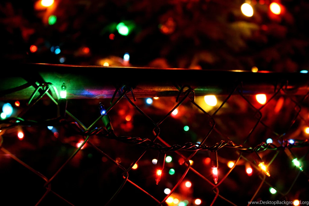 Christmas Lights On Fence Picture
