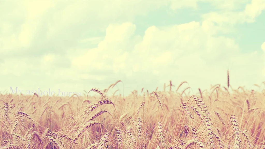 Just Took A Dump. [1920x1080] : Offensive_Wallpapers