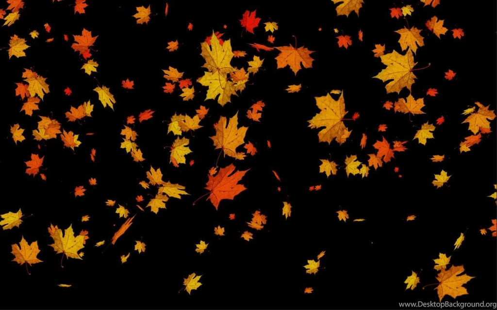 Leaves Falling Free Live WP Android Apps And Tests AndroidPIT