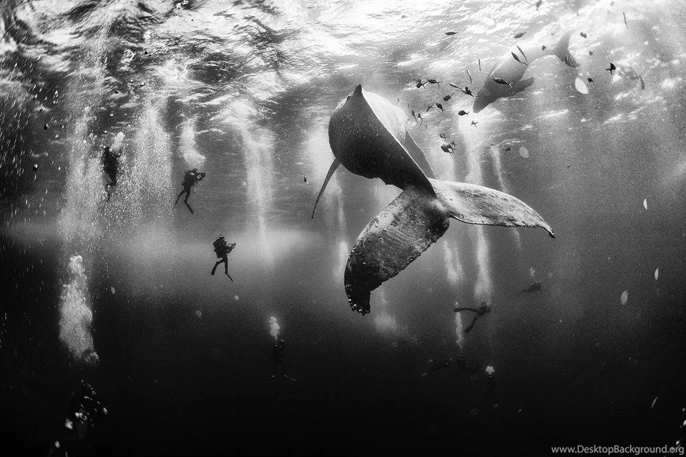 Winners Wallpapers, 2015 Traveler Photo Contest