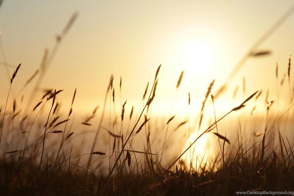 Day 352: Being Put To The Test, Sue Chat, Kan Chat, Kat Chat… And ...