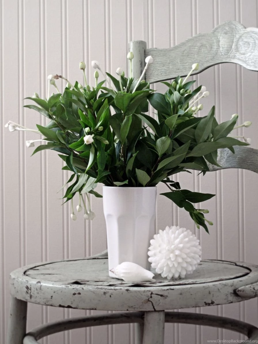 The Beach Cottage Graham & Brown Bead Board Wallpapers Saga ...