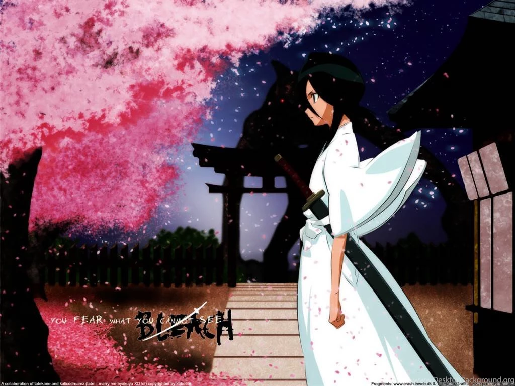 Rukia   Otaku's WonderLand Wallpapers (27010360)   Fanpop