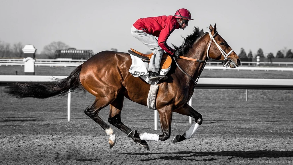 Обои картинки фото Horse, Race, Jockey » Скачать обои на рабочий ...