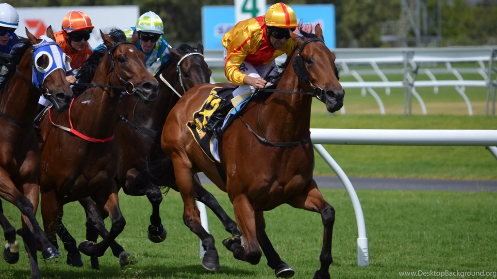 Jockey And Horses From A Race Wallpapers :: HD Wallpapers