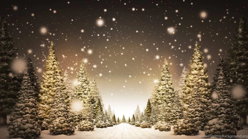 Christmas Trees Wallpaper 1080p 1024x576.jpg