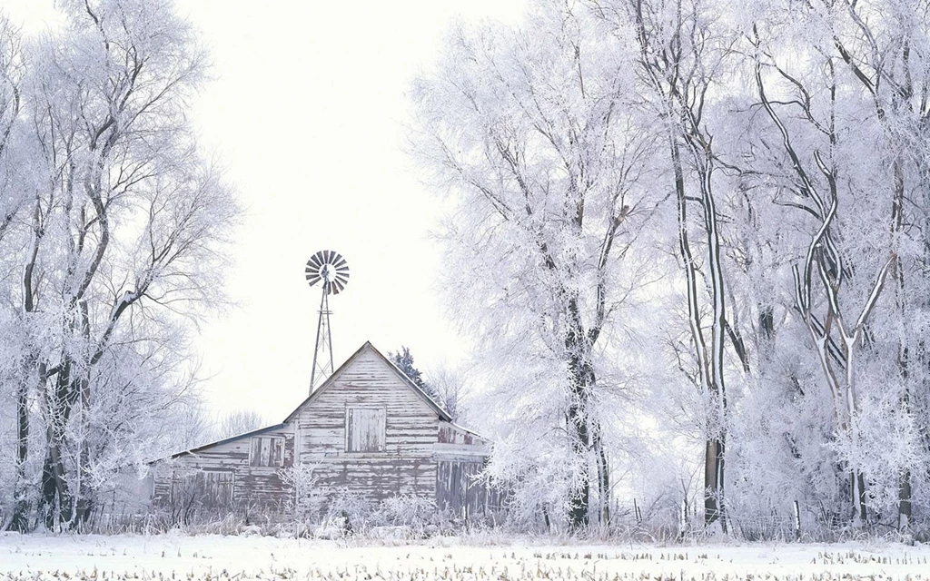 Winter Wonderland Snow Wallpapers Computer PC 7