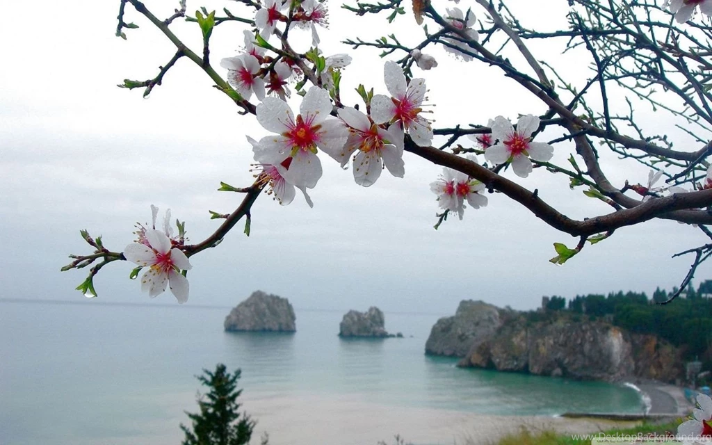 Spring Season HD Desktop Wallpapers : Widescreen : High Definition ...