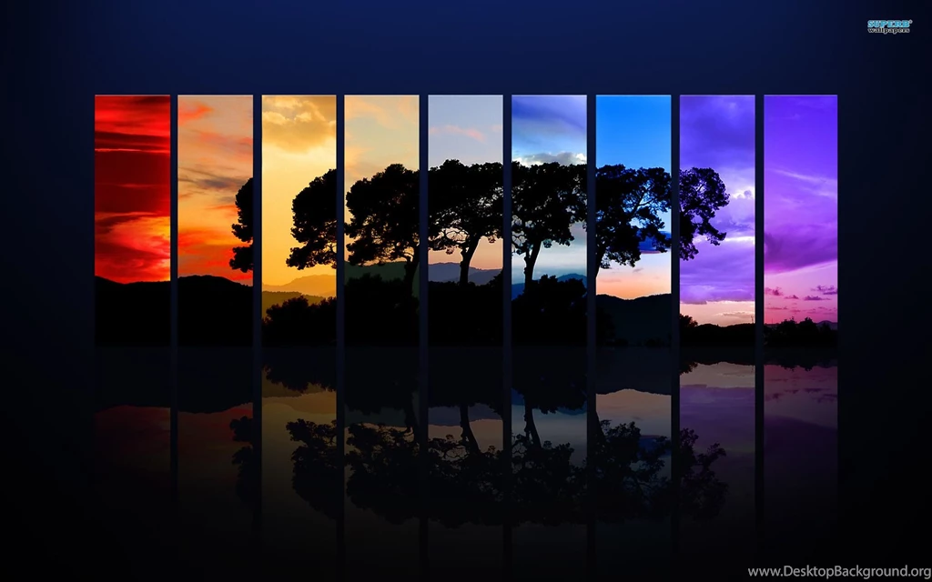 Tree In Different Seasons Wallpapers   Artistic Wallpapers