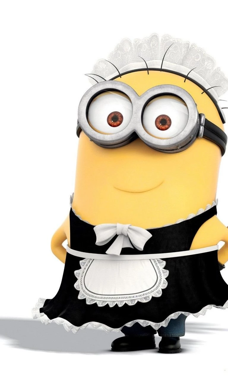 Minion Housemaid Wallpapers 768x1280   Wallpapers   Wallpapers Style
