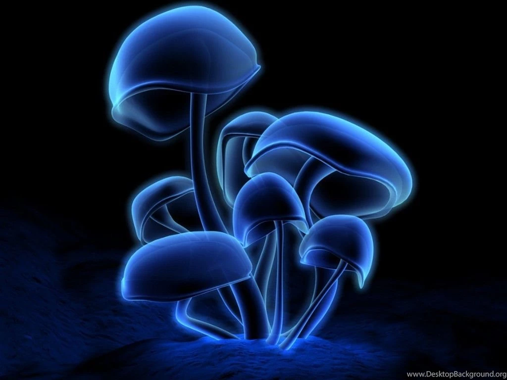3D graphics 3D wallpapers mushrooms.jpg