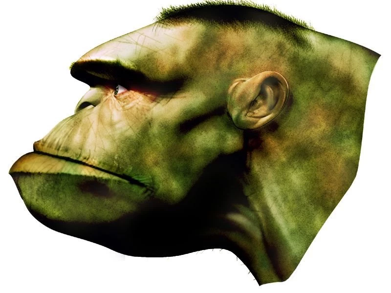 Fanart Earth X Hulk In 3D By The 3DArtist On DeviantArt