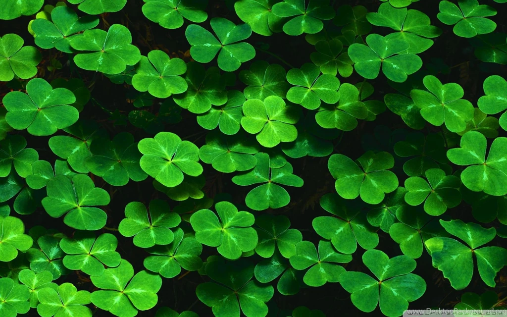 St Patrick's Day Wallpapers, Backgrounds For My PC, Desktop ...