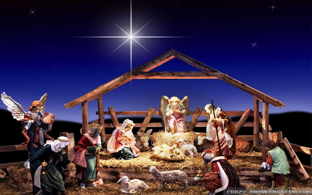 Crazy Christmas Pictures   Wallpapers HD Base