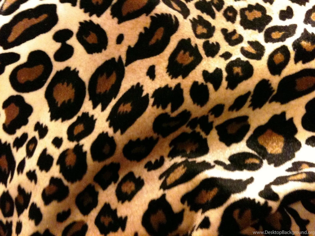 Cheetah Backgrounds Pictures Wallpapers Cave