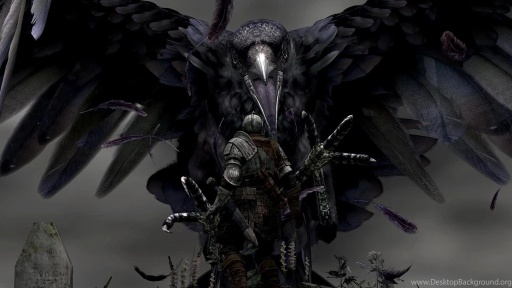 Raven HD Wallpaper, Raven Bird Images