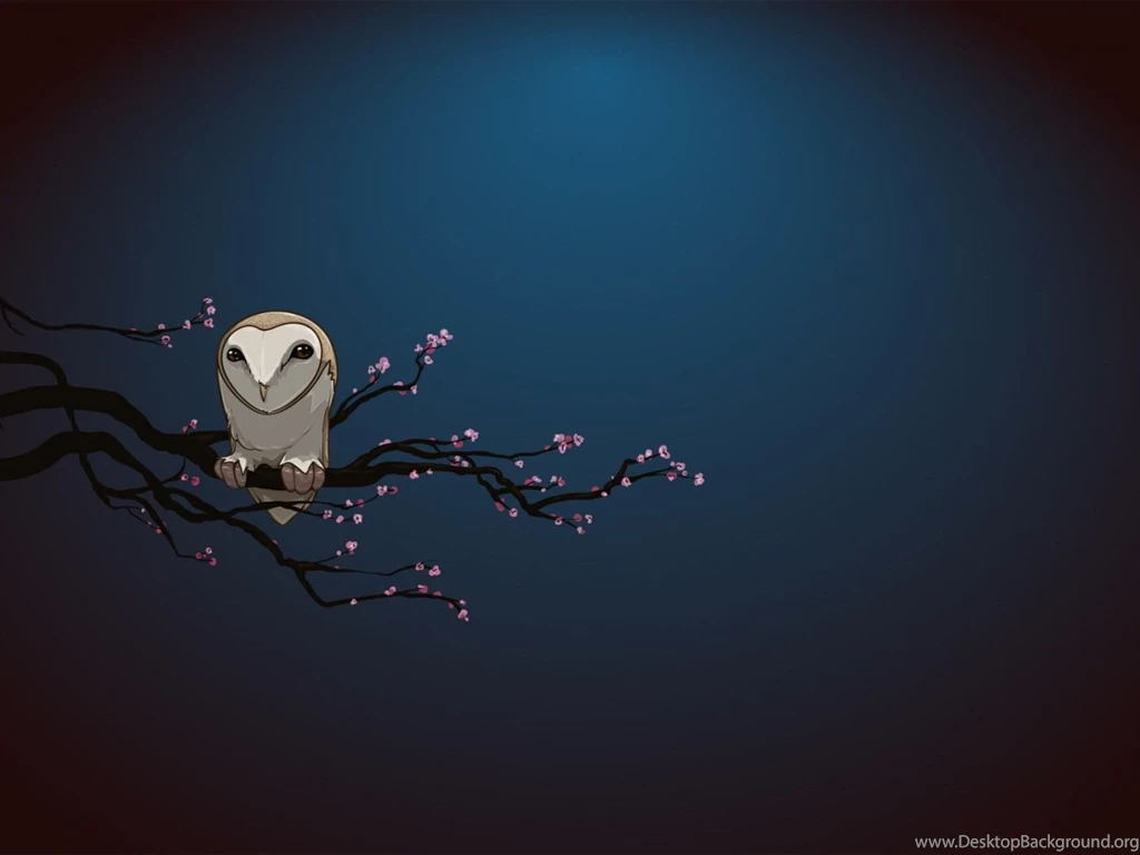 Cartoon Owl Wallpapers