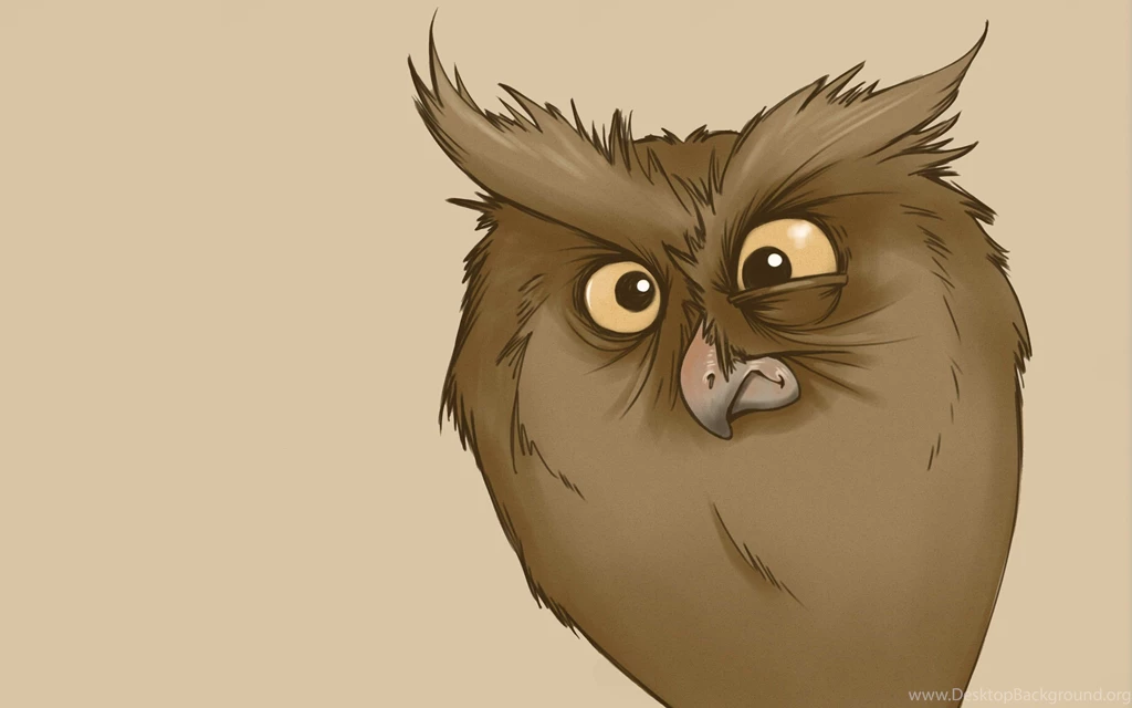 Funny Look Owl Minimalism Owl Cartoon Bird Wallpapers