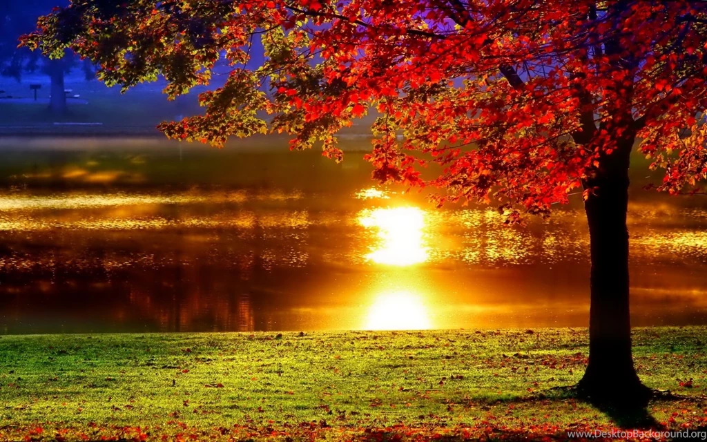Beautiful Sunset Backgrounds Imgtagram