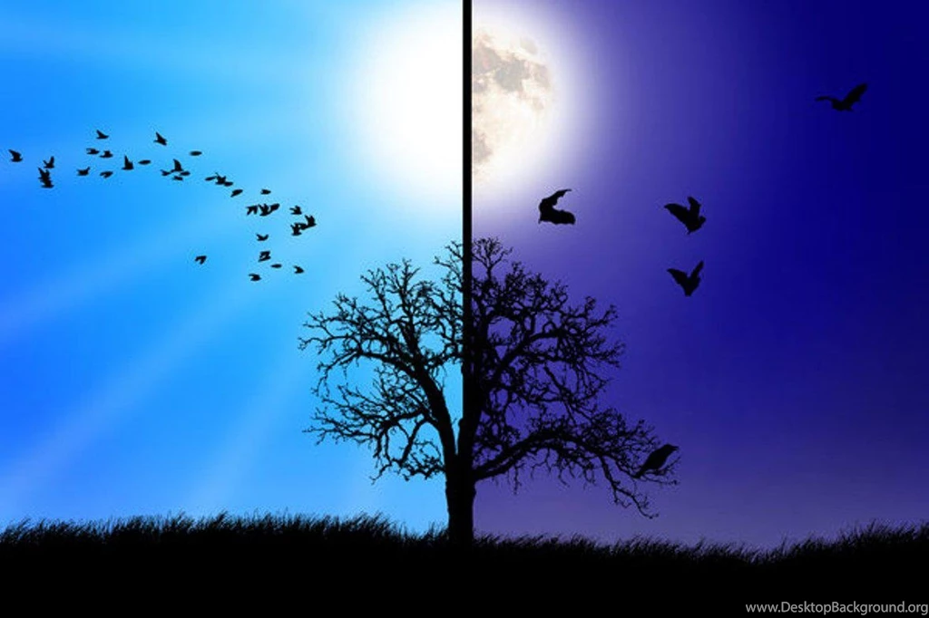 DAY VS NIGHT WALLPAPER (