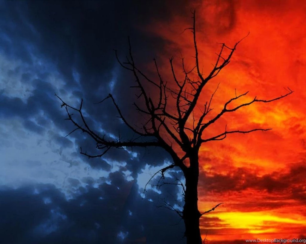 Day And Night Wallpapers (