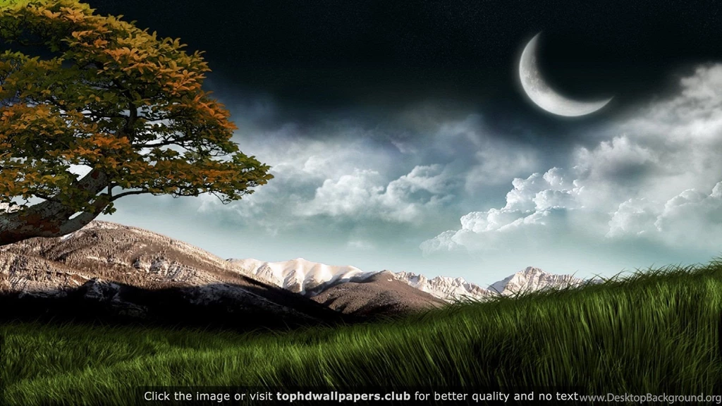 Page 11 Of Best Night 4K Or HD Wallpapers