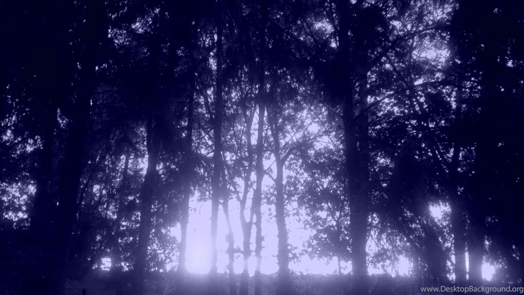 Night And Day