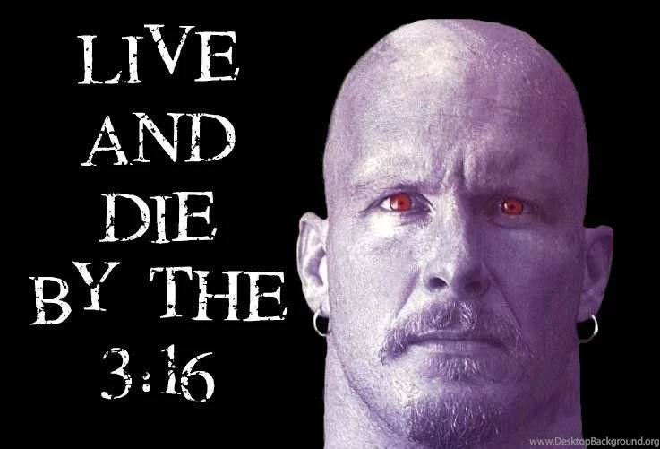 STEVE AUSTIN Quotes Like Success