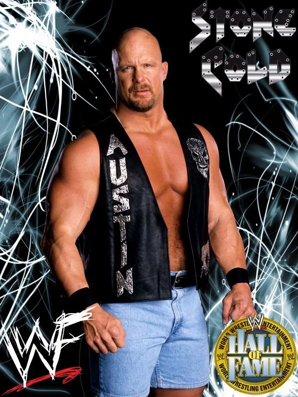 Steve Austin Vs Bret Hart Wallpapers By Thetrans4med On DeviantArt