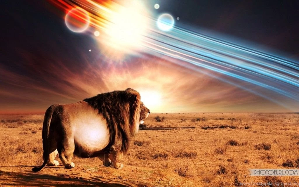 Best And Popular Wallpapers Of 2013