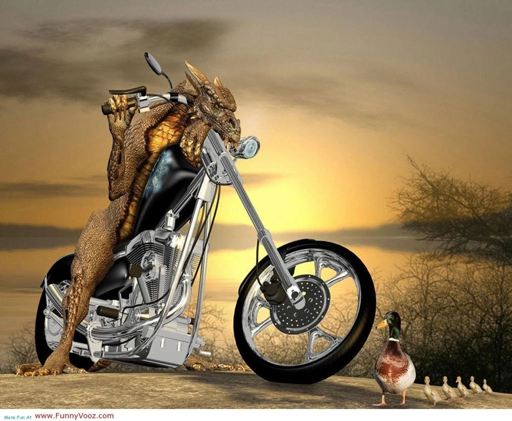 Best Funny Images Download