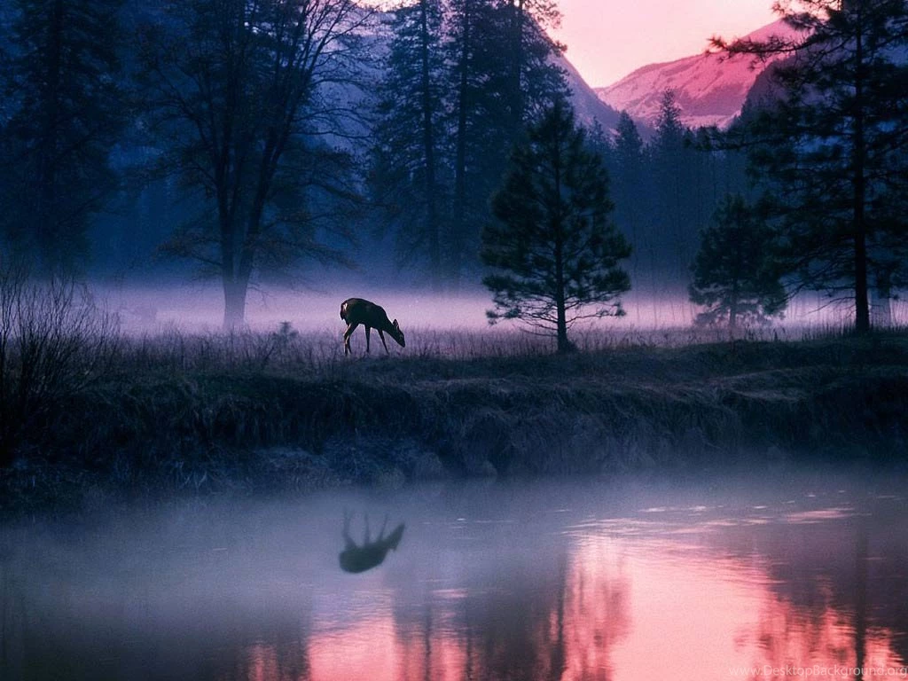 Desktop Wallpapers · Gallery · Nature · Mystical Waters Yosemite ...
