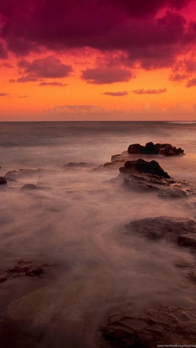 Mystical Reef iPhone 5s Wallpapers Download