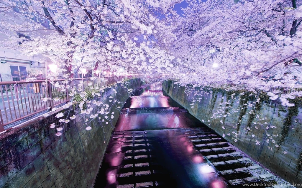 Tokyo Desktop HD Wallpapers, Tokyo Images Free, New Wallpapers