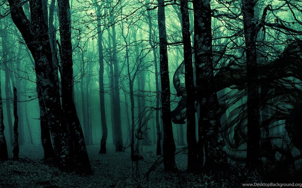 Dark Dense Forest