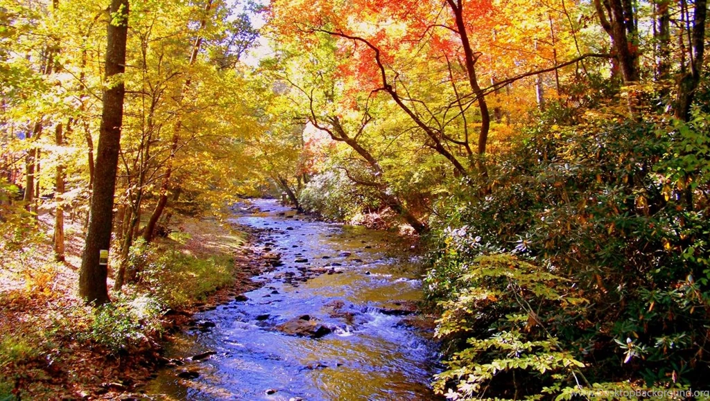 My Business   Free Christian / Landscape Wallpapers