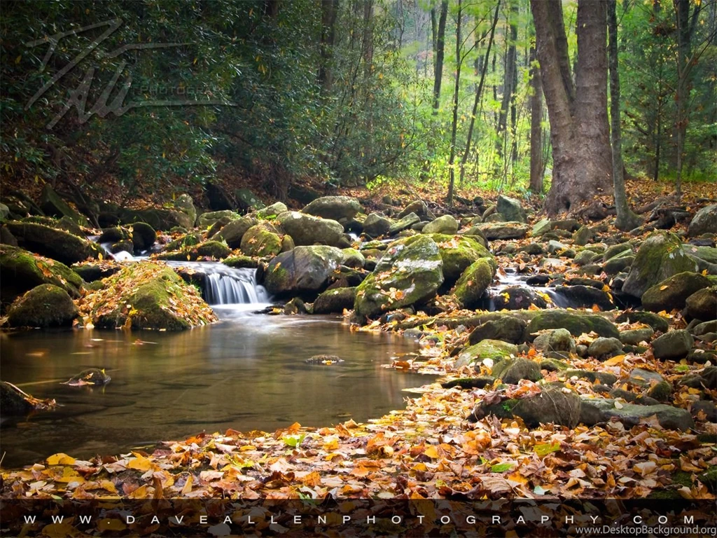 Enchanted Forest And Waterfall Free Desktop Wallpapers Image